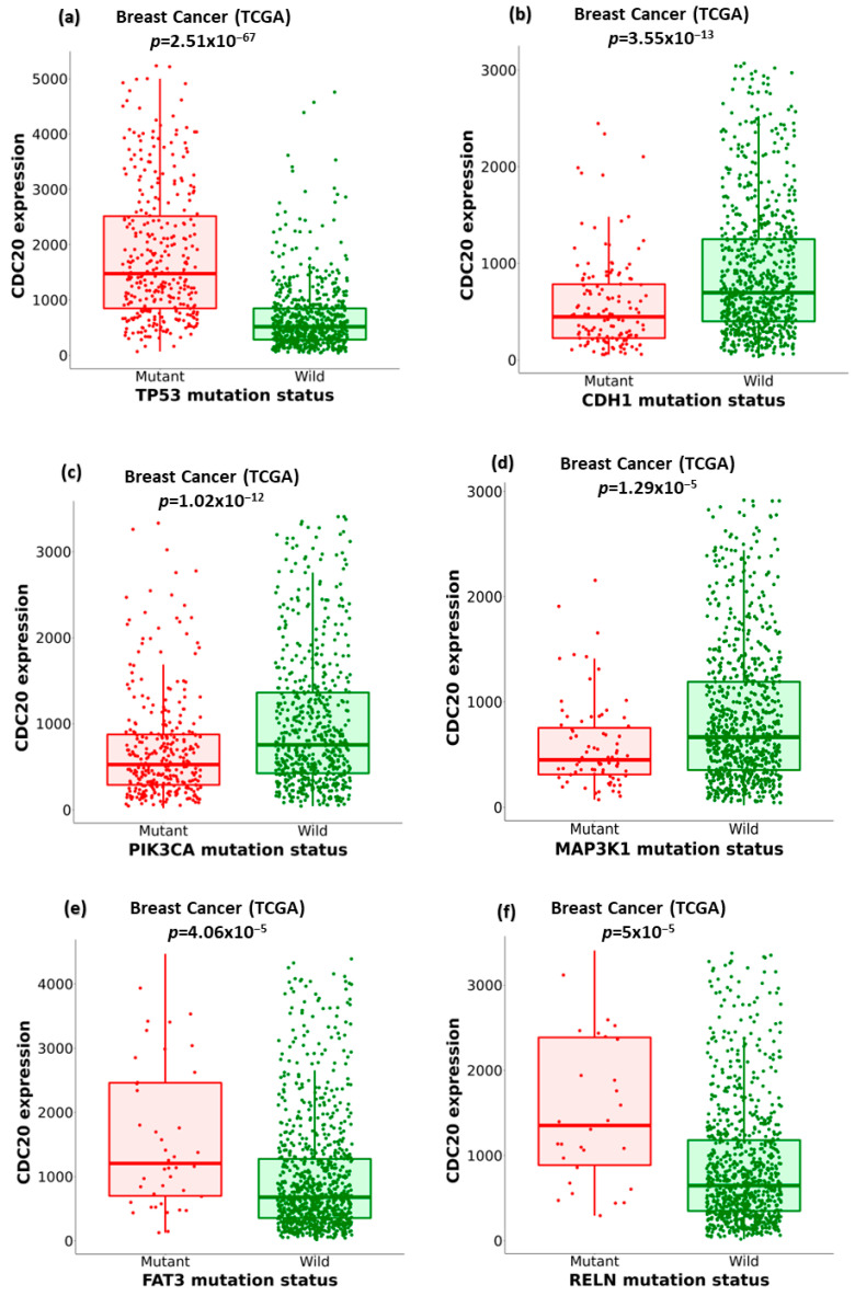 PMC11274456 – cancers-16-02546-f009