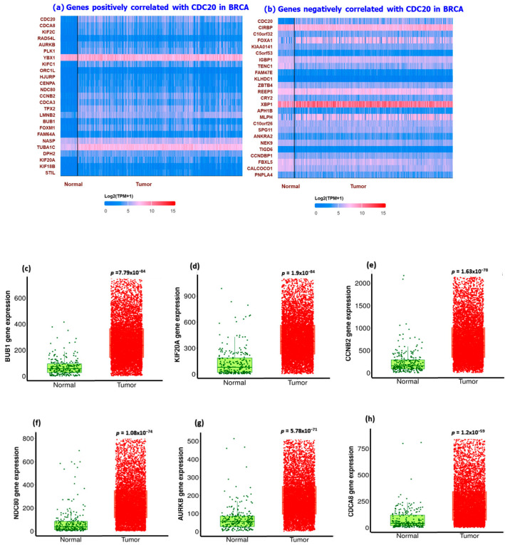 PMC11274456 – cancers-16-02546-f012