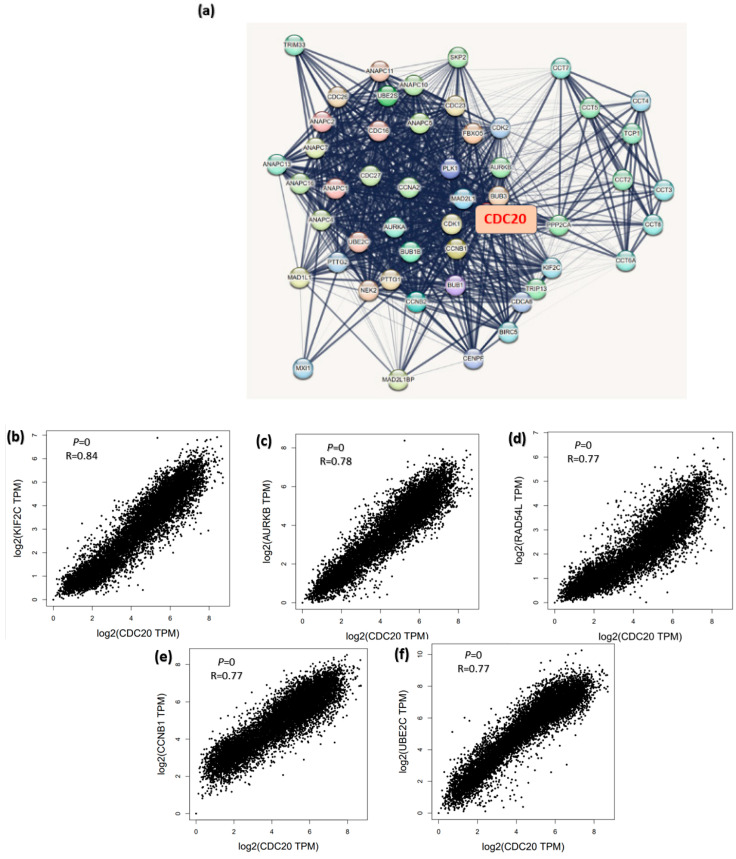 PMC11274456 – cancers-16-02546-f016