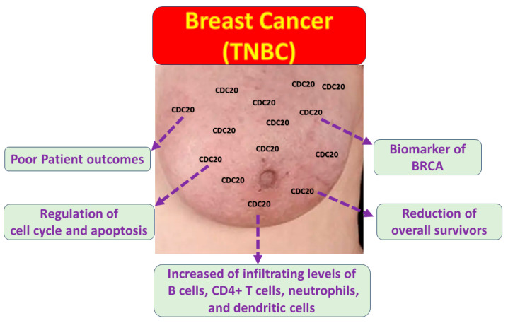 PMC11274456 – cancers-16-02546-f017
