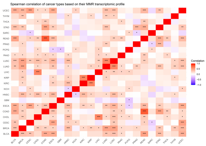 PMC11674037 – cancers-16-04178-f004