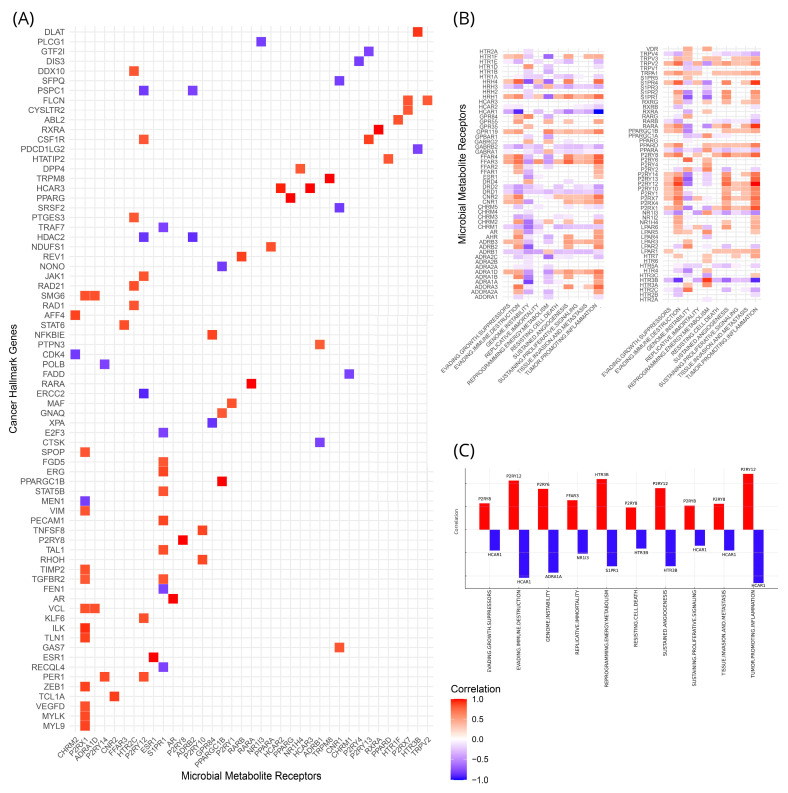 PMC11674037 – cancers-16-04178-f005