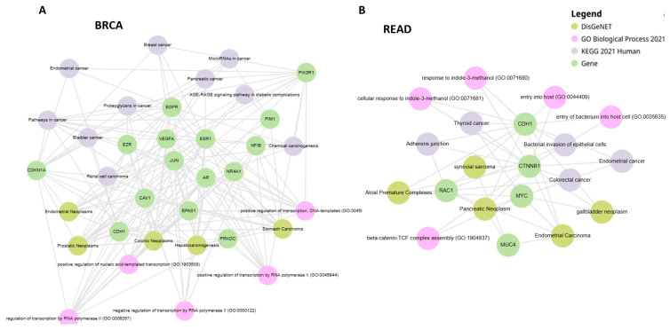 PMC11988181 – cancers-17-01144-f003