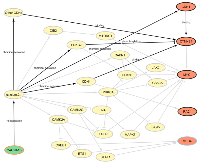 PMC11988181 – cancers-17-01144-f005