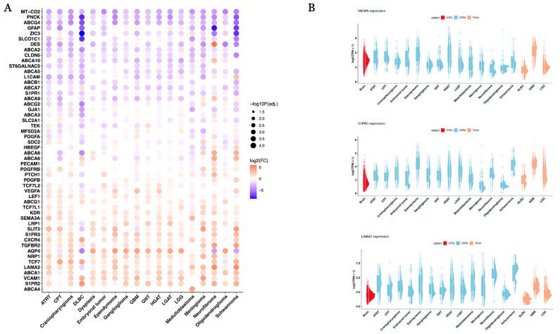 PMC11987753 – cancers-17-01239-f003