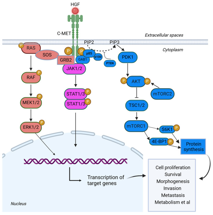 PMC12070916 – cancers-17-01493-f002