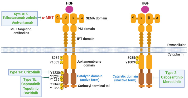 PMC12070916 – cancers-17-01493-f005
