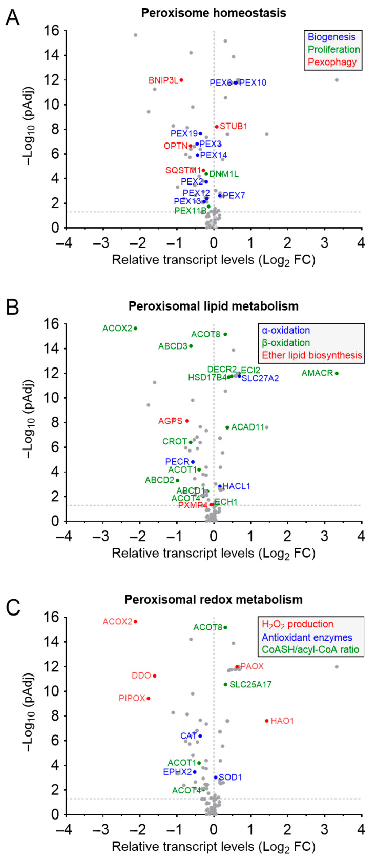 PMC12248560 – cancers-17-02243-f001
