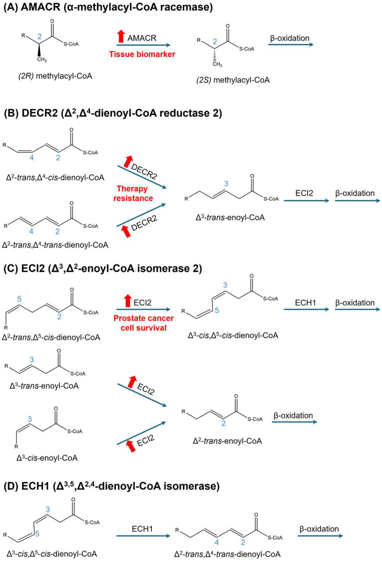 PMC12248560 – cancers-17-02243-f004
