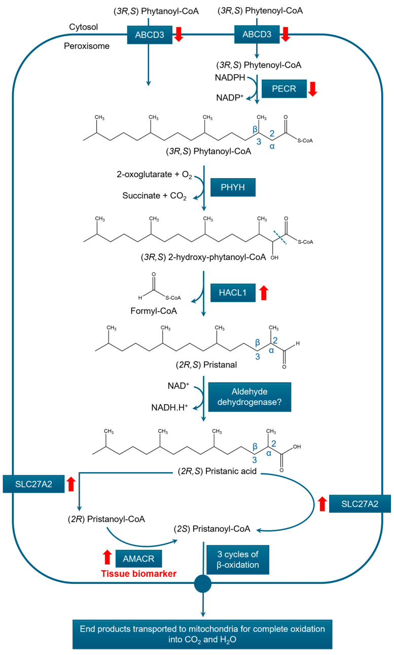 PMC12248560 – cancers-17-02243-f005