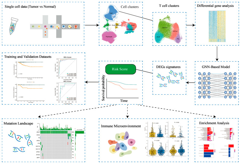 PMC12294065 – cancers-17-02411-f001