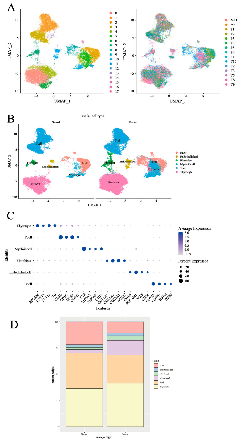 PMC12294065 – cancers-17-02411-f002