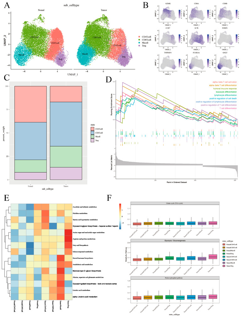 PMC12294065 – cancers-17-02411-f003