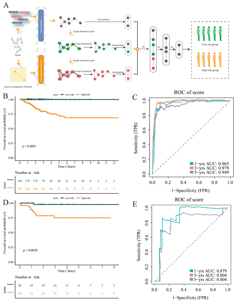 PMC12294065 – cancers-17-02411-f006