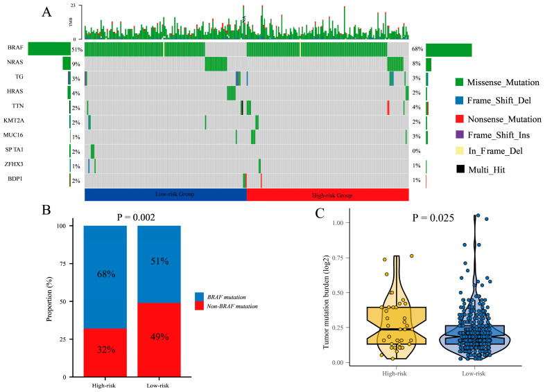 PMC12294065 – cancers-17-02411-f008