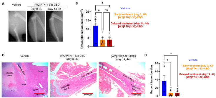 PMC12427927 – cancers-17-02933-f006