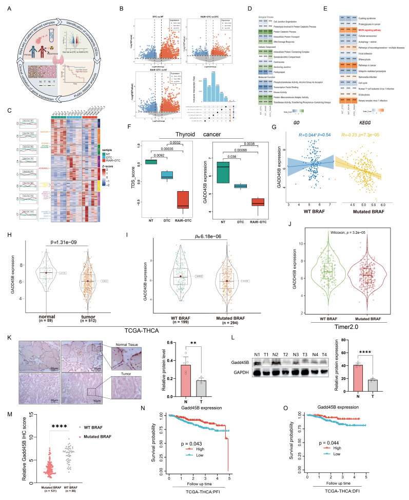 PMC12523365 – cancers-17-03201-f001