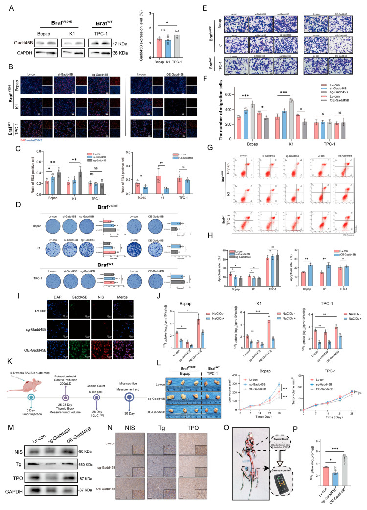 PMC12523365 – cancers-17-03201-f002