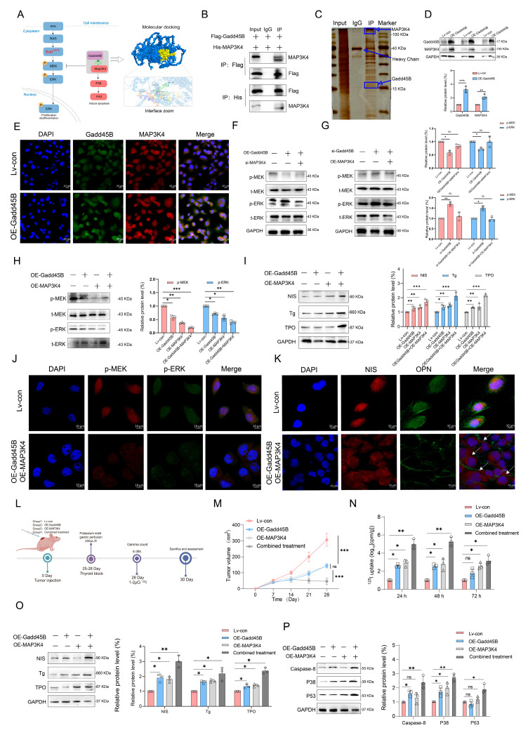 PMC12523365 – cancers-17-03201-f004