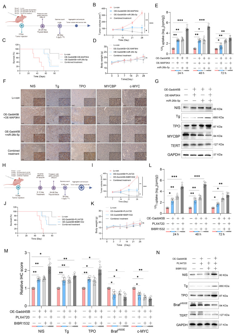 PMC12523365 – cancers-17-03201-f006