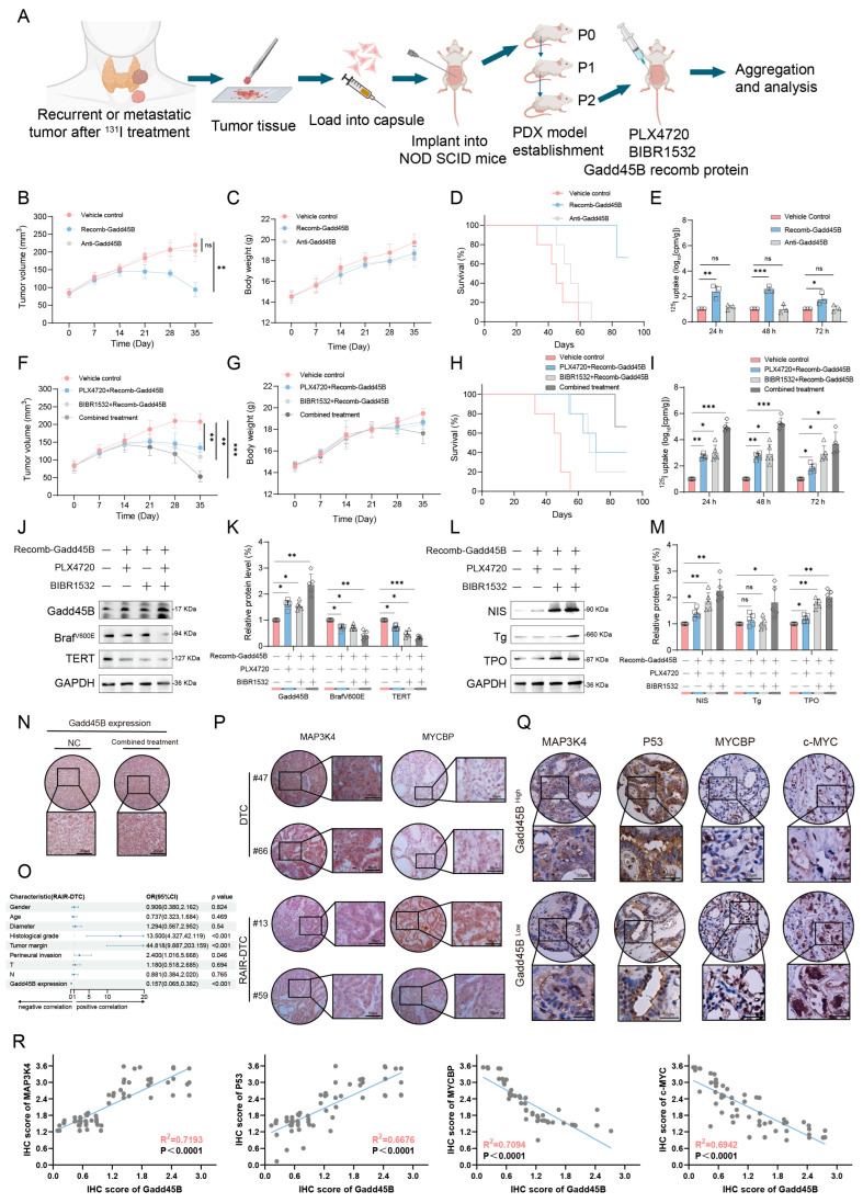 PMC12523365 – cancers-17-03201-f007