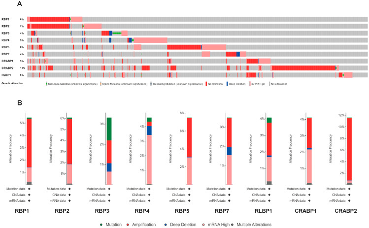 PMC12651014 – cancers-17-03706-f004