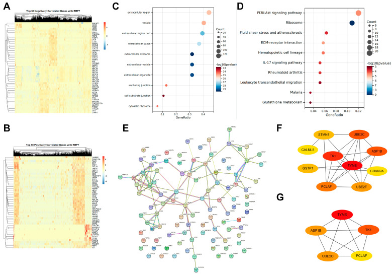 PMC12651014 – cancers-17-03706-f006
