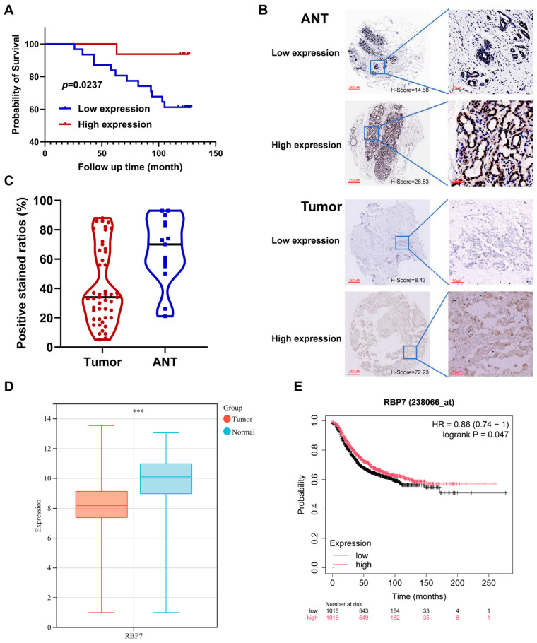 PMC12651014 – cancers-17-03706-f007