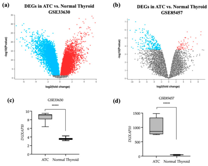 PMC12691012 – cancers-17-03852-f001