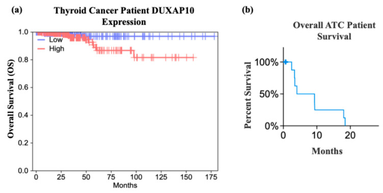 PMC12691012 – cancers-17-03852-f002