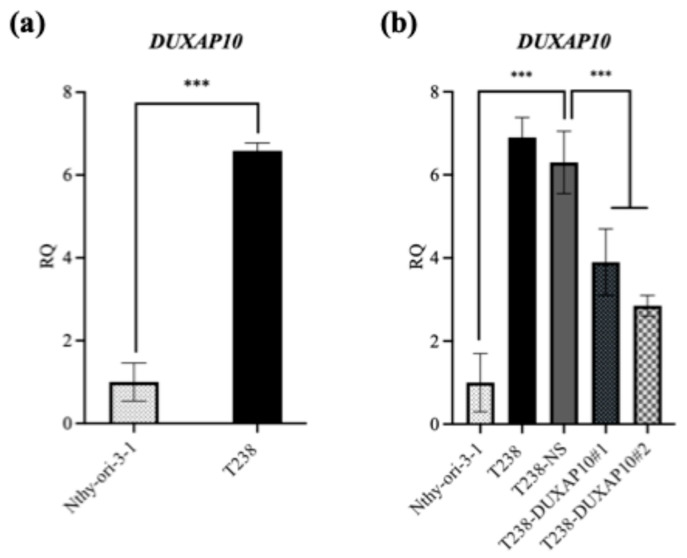 PMC12691012 – cancers-17-03852-f003