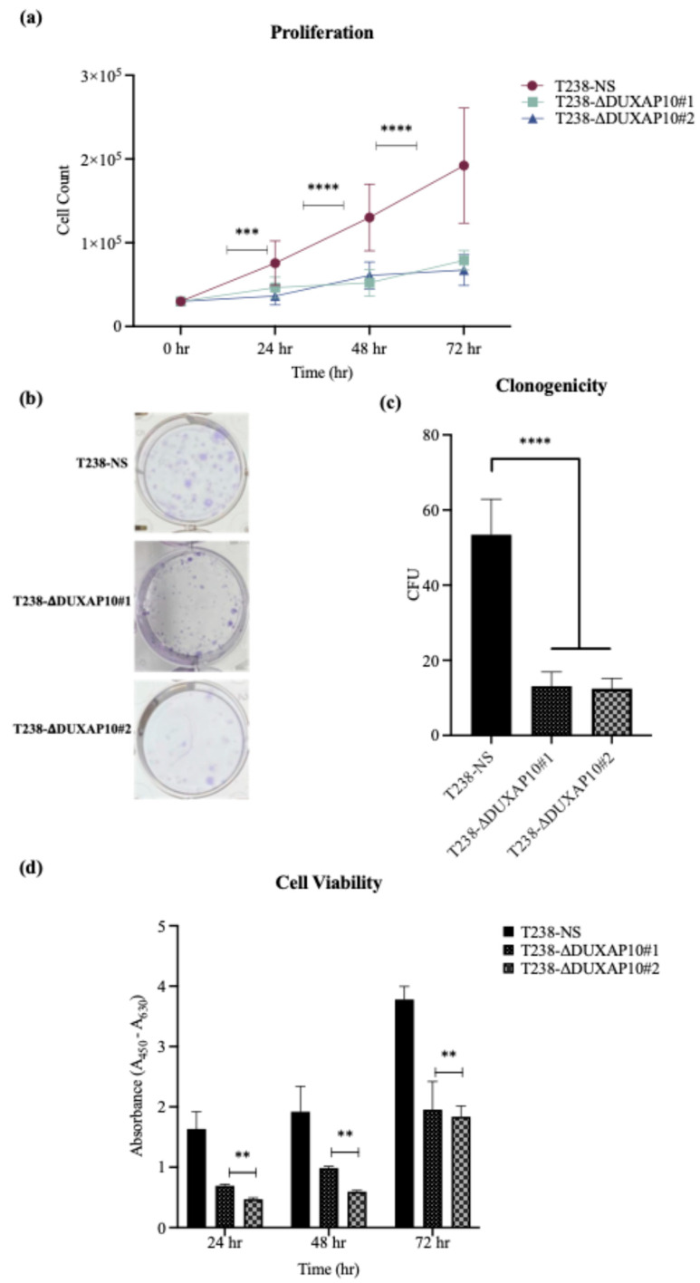 PMC12691012 – cancers-17-03852-f007