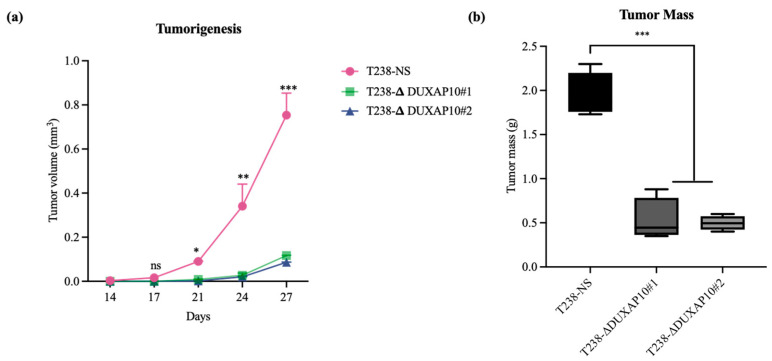 PMC12691012 – cancers-17-03852-f008