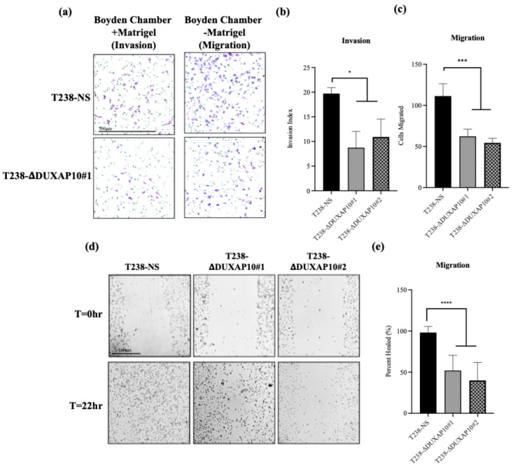 PMC12691012 – cancers-17-03852-f010