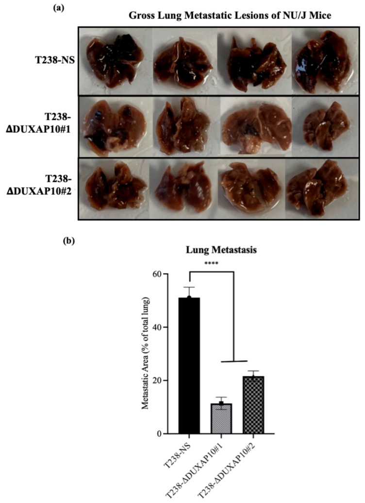 PMC12691012 – cancers-17-03852-f011