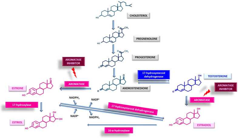 PMC12785006 – cancers-18-00073-f001