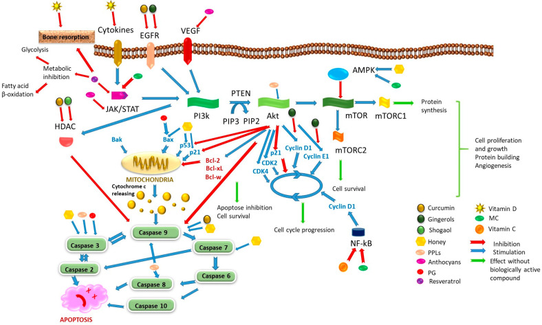 PMC12785006 – cancers-18-00073-f004