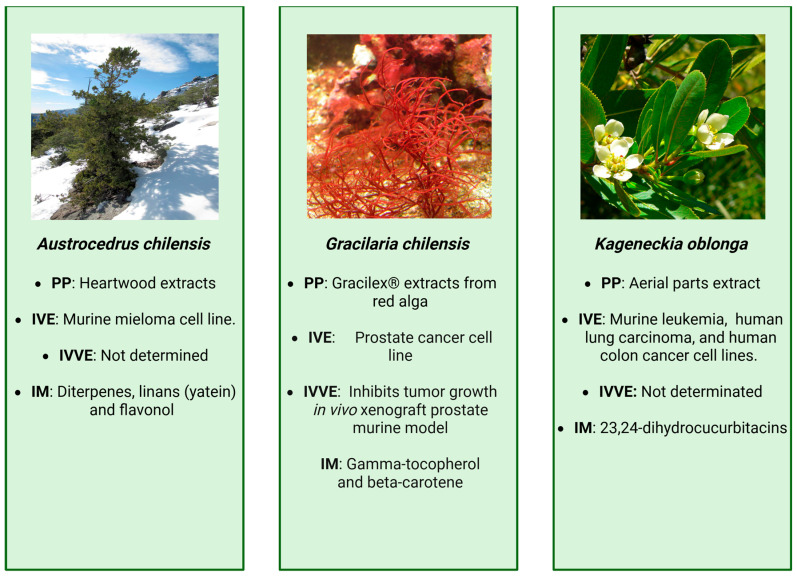 PMC12939060 – cancers-18-00656-f005