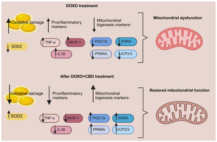 PMC12984507 – cancers-18-00761-f001