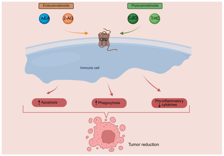 PMC12984507 – cancers-18-00761-f002