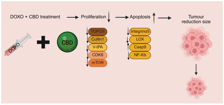 PMC12984507 – cancers-18-00761-f003
