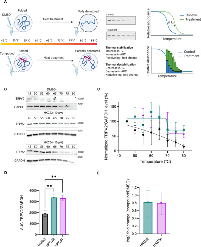 PMC13097083 – fig3