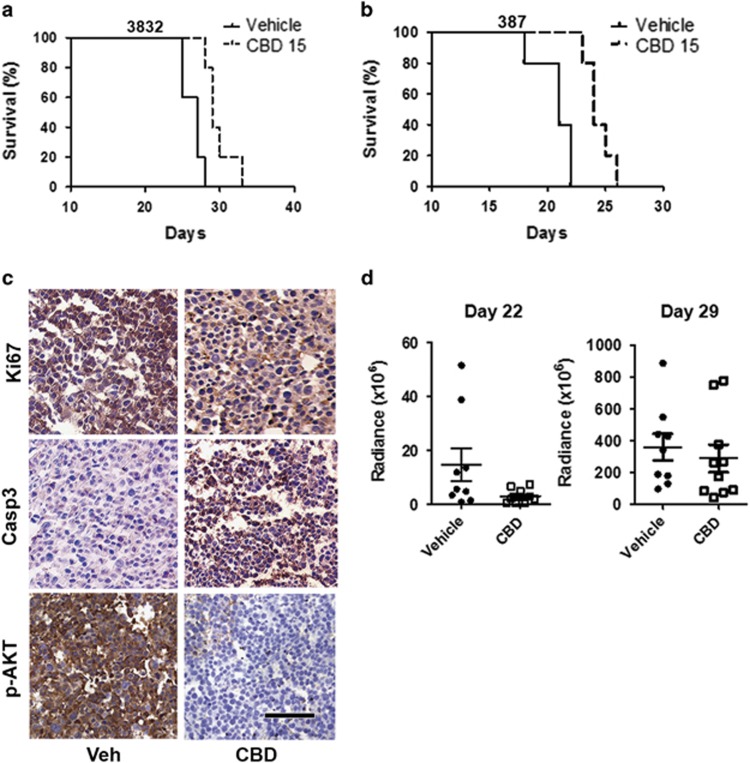 PMC4669764 – fig2