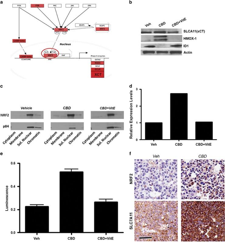 PMC4669764 – fig5
