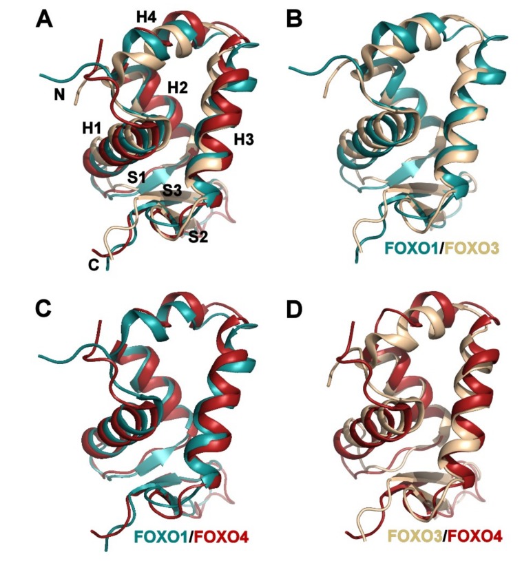 PMC6770010 – cells-08-00966-f003