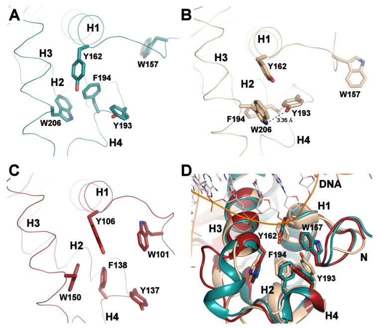 PMC6770010 – cells-08-00966-f004