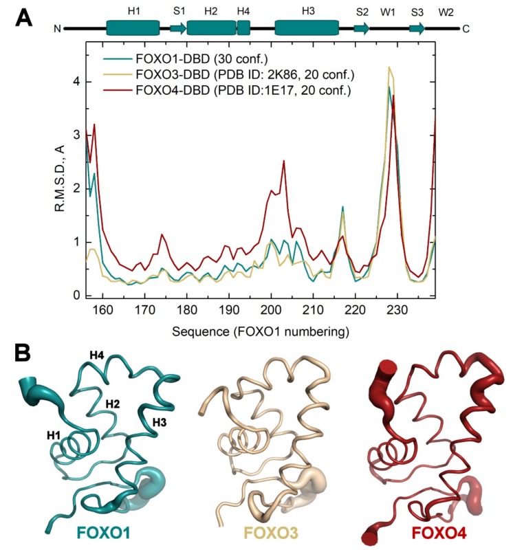 PMC6770010 – cells-08-00966-f005