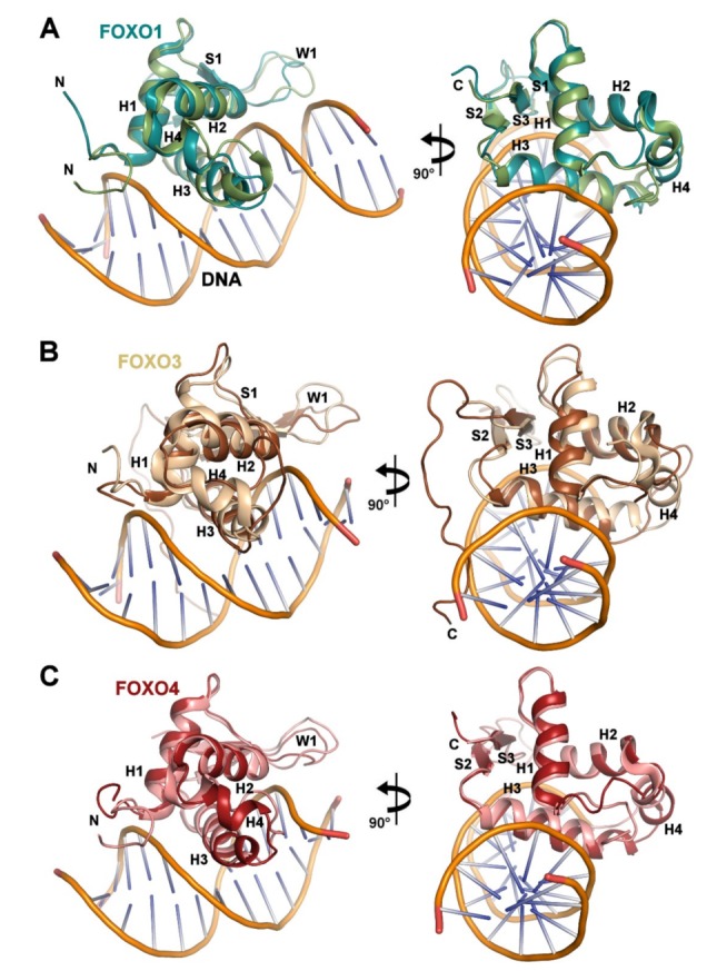 PMC6770010 – cells-08-00966-f006