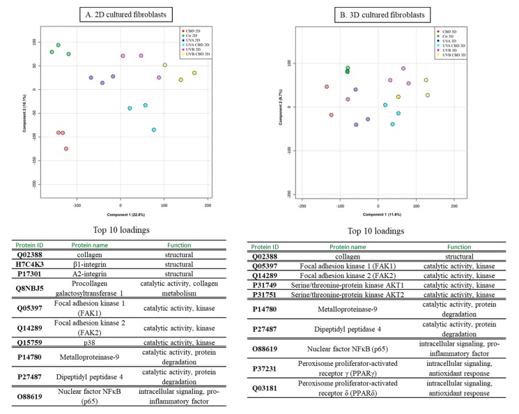 PMC6770406 – cells-08-00995-f002