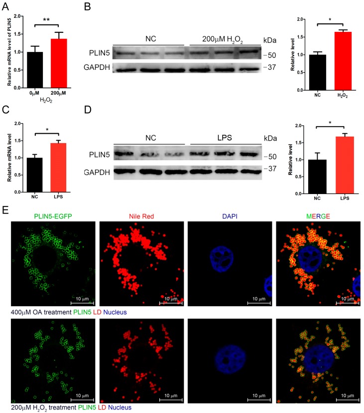 PMC6830103 – cells-08-01241-f002